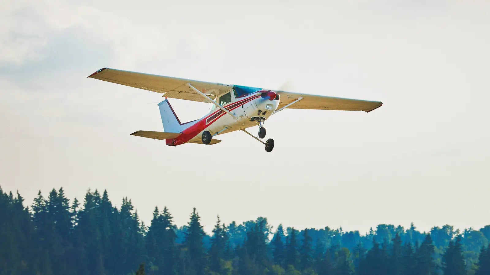 Airplane flying over the trees of the Pacific Northwest.