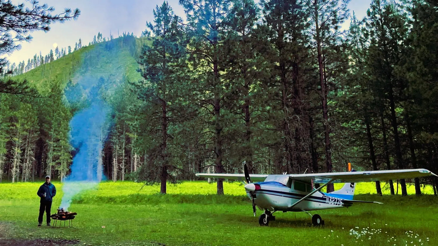 Small Cessna airplane on grass with trees and a person in the background